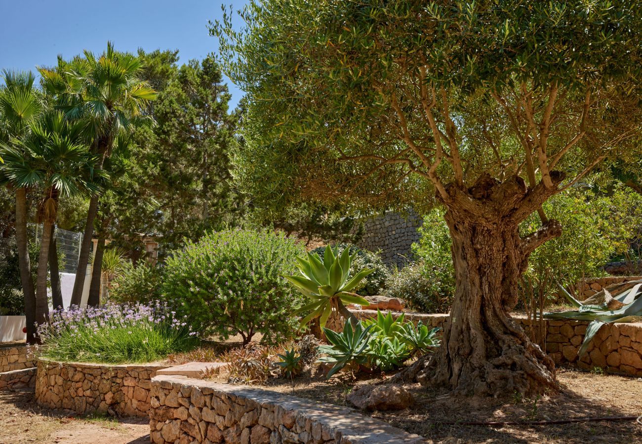 Villa in Sant Josep de Sa Talaia - CASA TRES