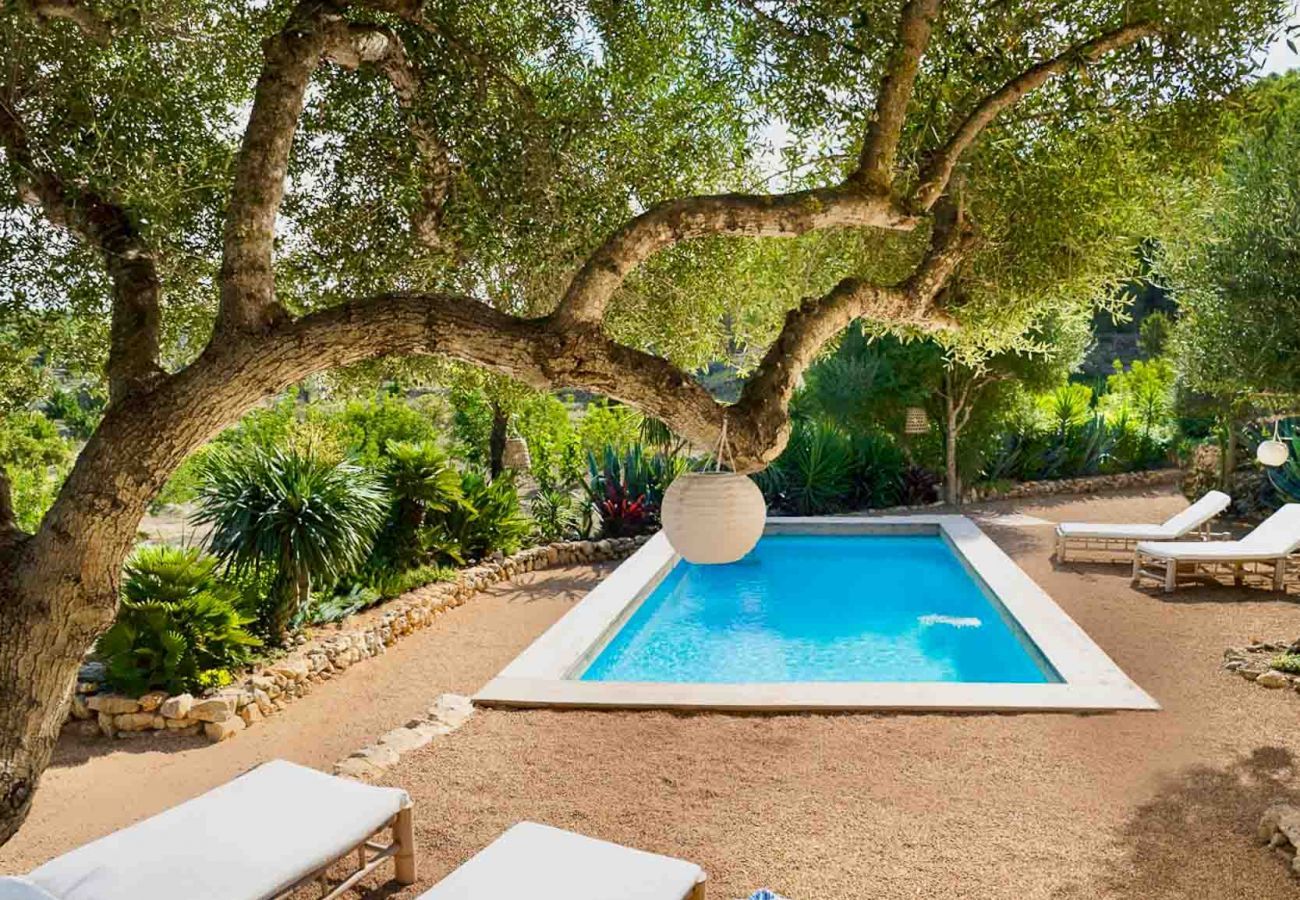 Villa in Sant Antoni de Portmany - FINCA SANTA INÉS