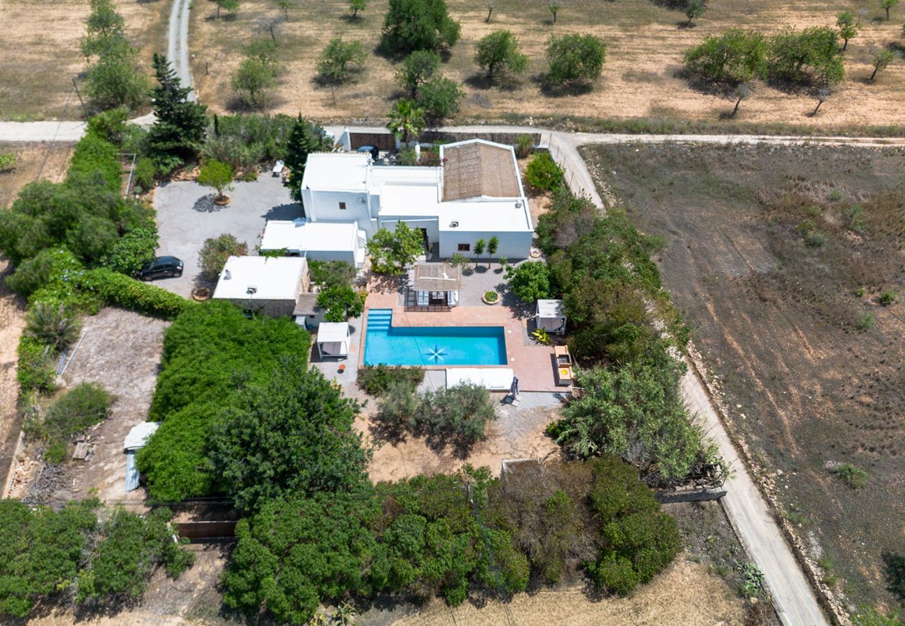 Villa in Sant Jordi de Ses Salines - VILLA CARROCA