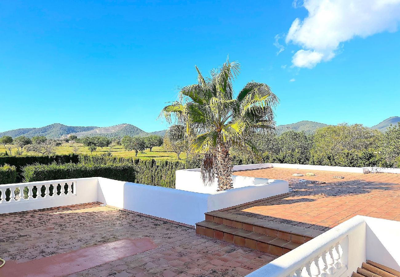 Ferienhaus in Sant Jordi de Ses Salines - VILLA OASIS