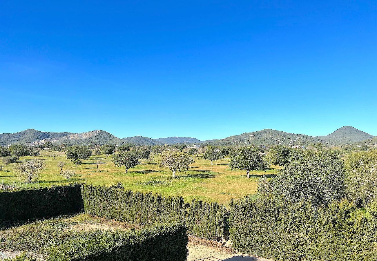 Ferienhaus in Sant Jordi de Ses Salines - VILLA OASIS