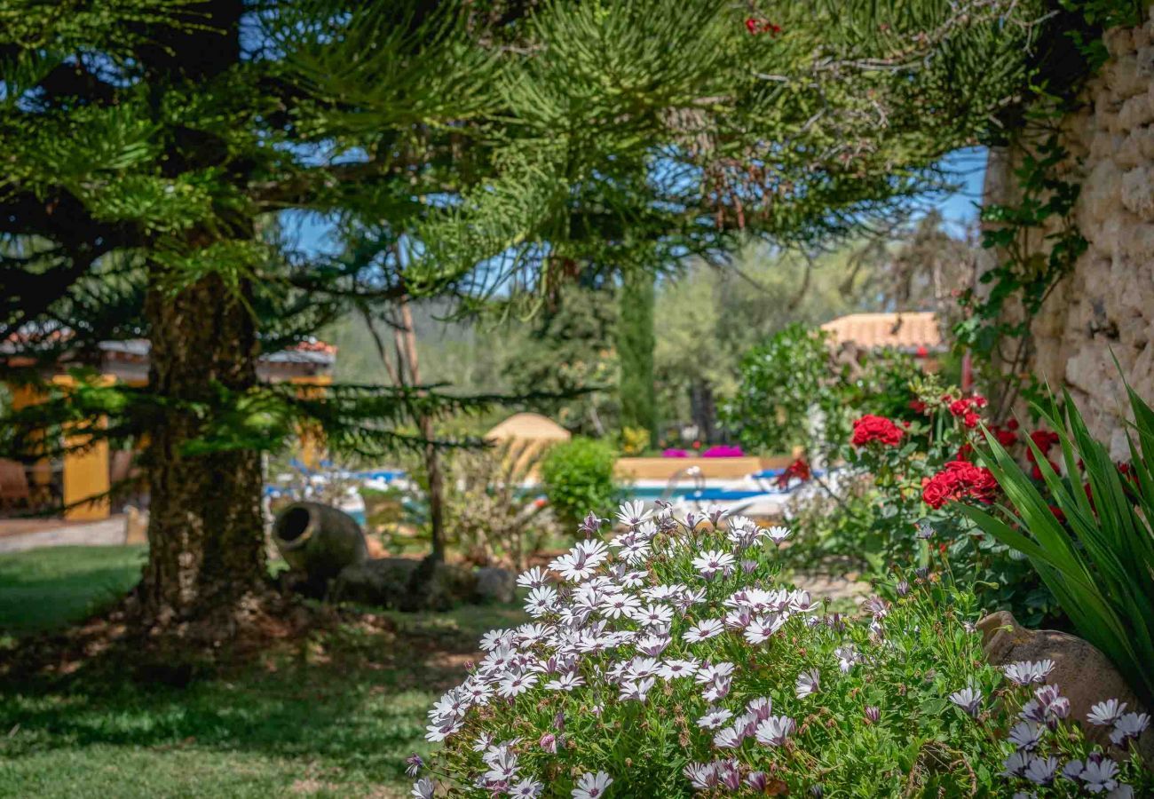 Villa en Santa Eulalia del Río - CAN TREE I