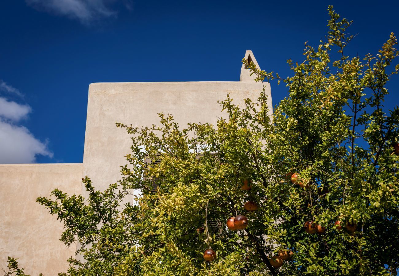 Villa à Sant Francesc de Formentera - CAN NOVES - Villa de 3 suites