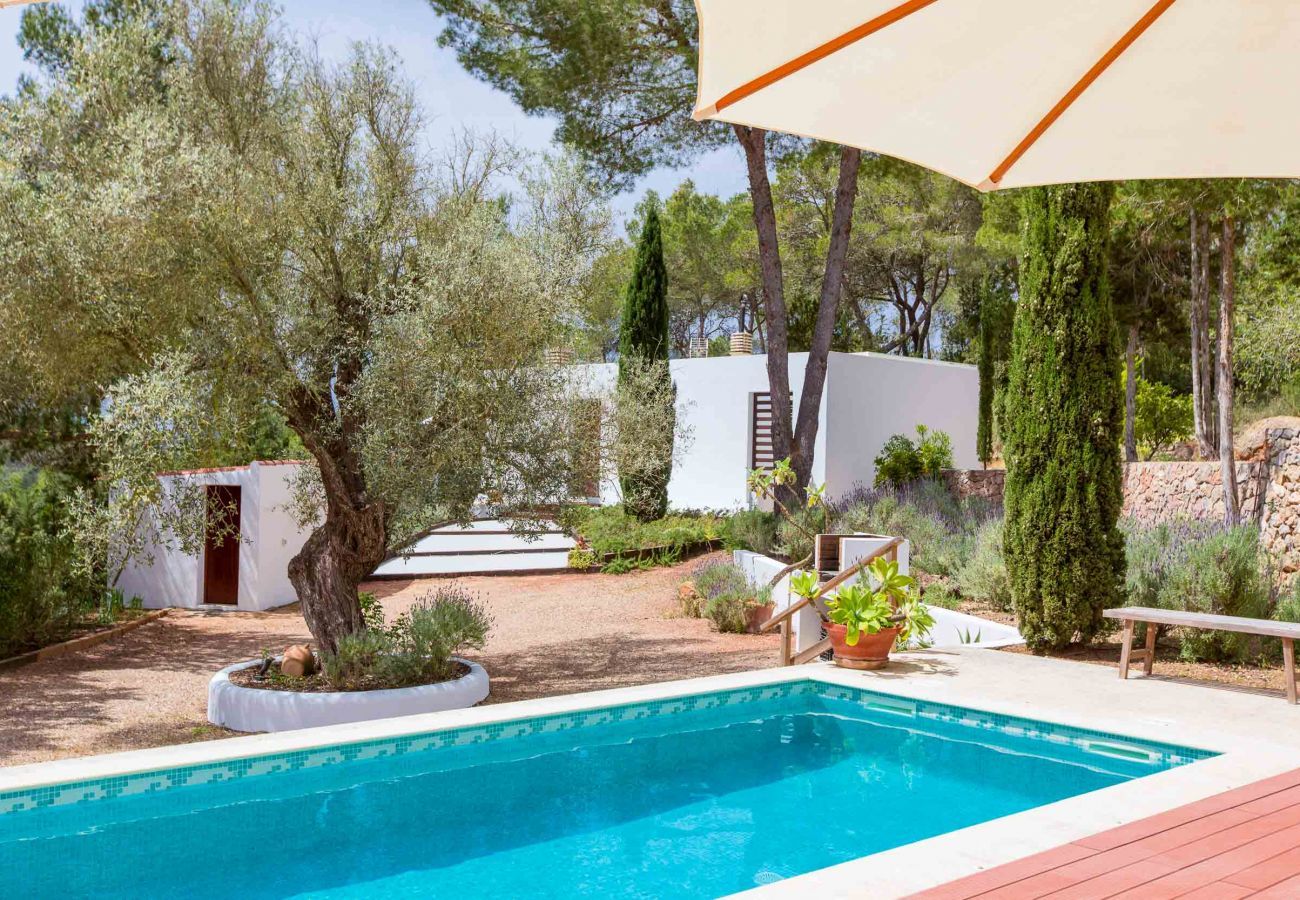 Piscine et terrasse idéale à la Surf House pour votre séjour