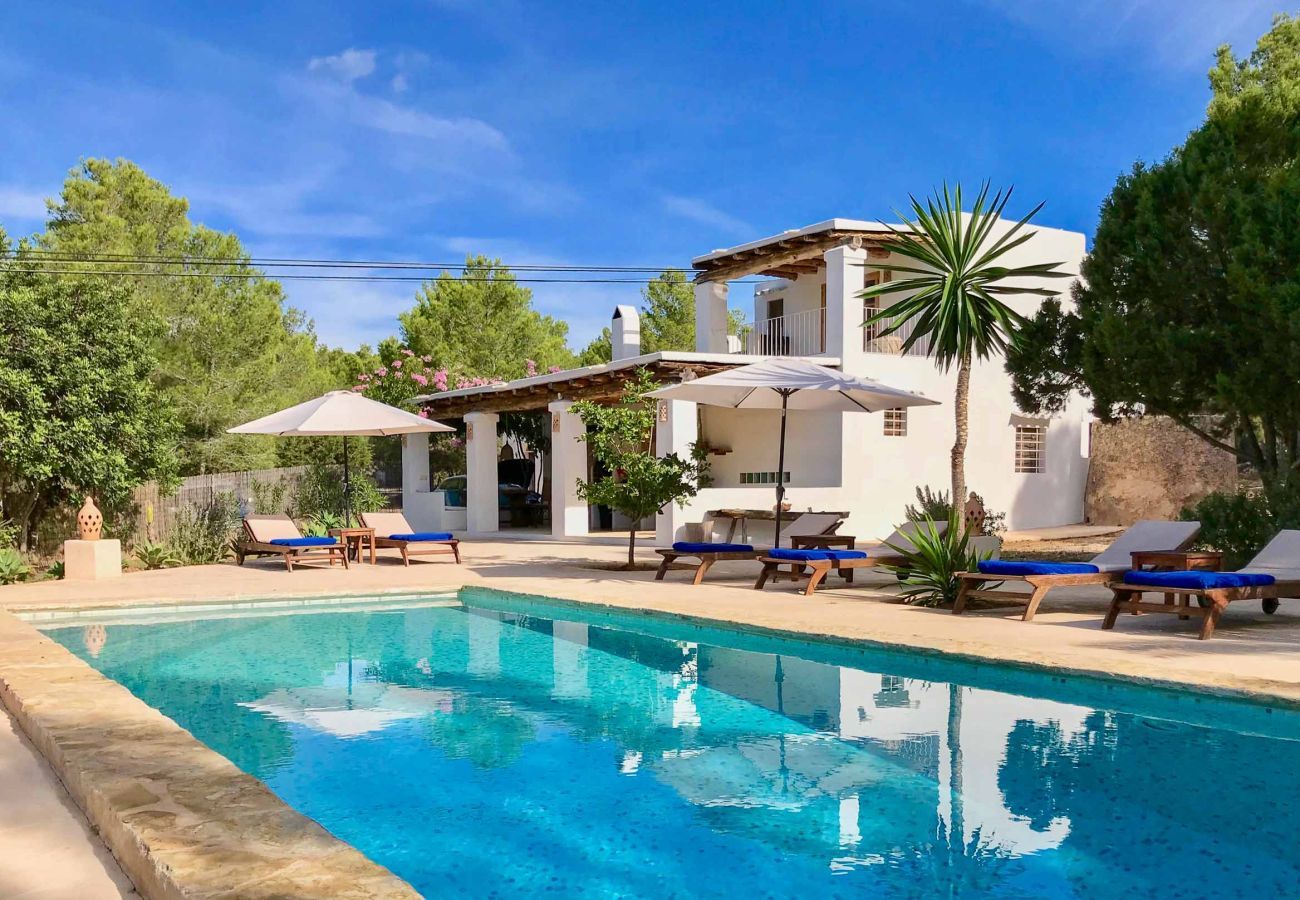 Vue de la piscine privée et de la terrasse avec l’environnement naturel de la Villa Saljub