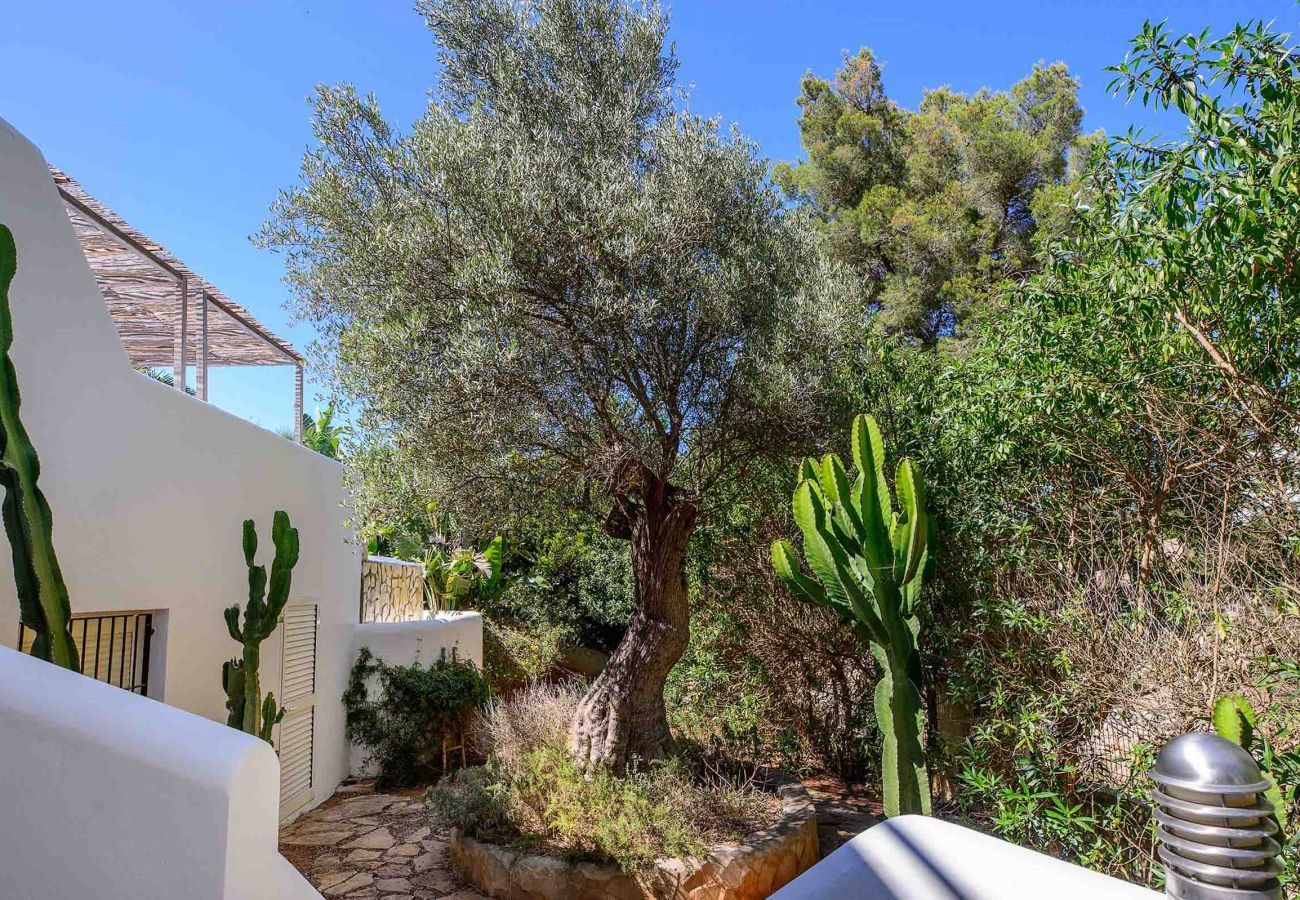 Villa in Santa Eulalia des Riu - VILLA AMARANTOS